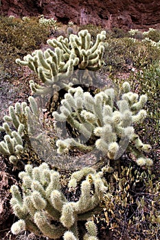 Tonto National Forest, Arizona U.S. Department of Agriculture