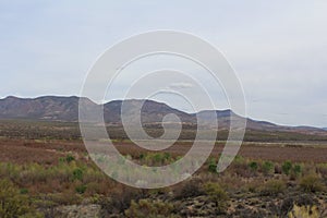 Tonto National Forest, Arizona U.S. Department of Agriculture