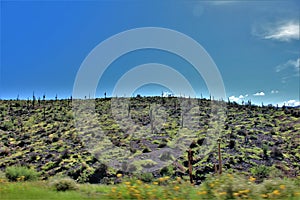 Tonto National Forest, Arizona U.S. Department of Agriculture, United States