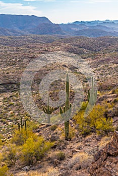 Tonto National Forest photo