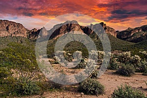 Tonto National Forest Sunset