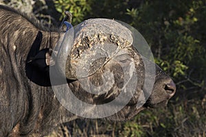 Too close for comfort