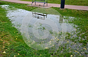 Too compact and impermeable soil does not absorb water during rains and floods. a lake was created in the park in the lawn, which photo
