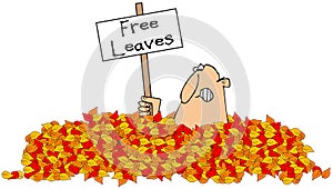 Too many fallen leaves