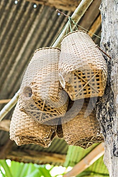 Tool for catch an eel