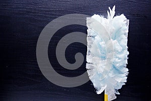 Tool for cleaning dust