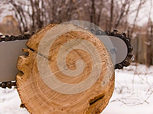 The tool of the woodcutter a saw