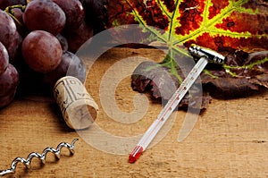 Tools for enology