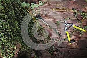 Tools for florists and flowers