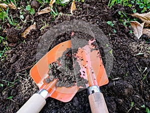 Tools for gardening, orange shovels