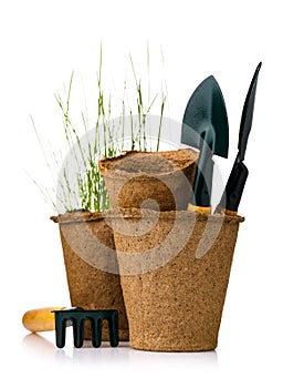 Tools for gardening: peat pot with seedlings and shovels isolated