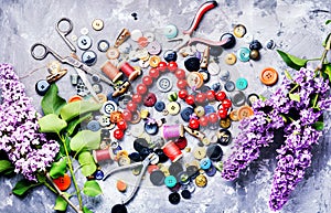 Tools for needlework and lilac branch