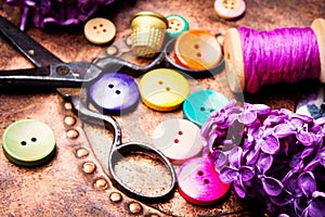 Tools for needlework and lilac branch