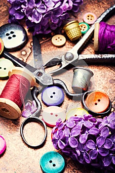 Tools for needlework and lilac branch