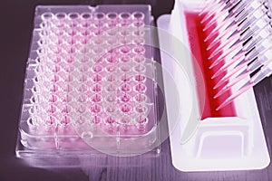 Tools for PCR amplification of DNA, 96-well plate