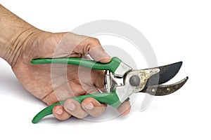 Tools: Secateurs