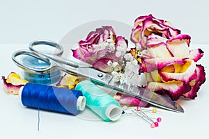 Tools for sewing and dried roses