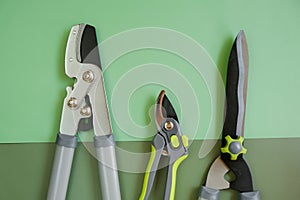 tools for topiary cutting of plants. Secateurs, loppers, and hedge trimmers set against a green background.Garden