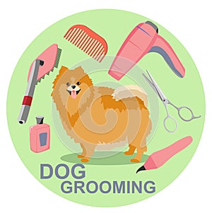 Tools used in beauty salon for animals. Dog grooming salon poster