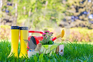 Tools for working in the garden, objects for spring work