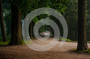 ToomemÃ¤gi park during summertime