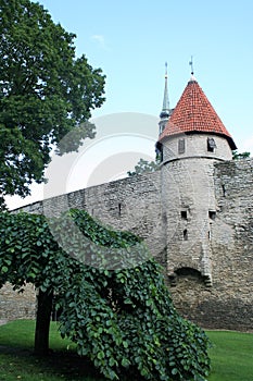 Toompea Castle in the old town of Tallin