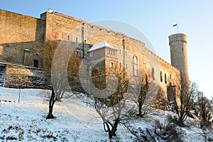 Toompea castle and Pikk Hermann tower. Tallinn. Estonia