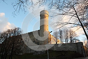 Toompea Castle & Pikk Hermann Tower Tallinn Estonia