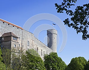 Toompea Castle on Toompea hill Tall Hermann tower. Tallinn, Estonia