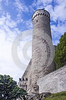 Toomplea castle and Long Hermann tower