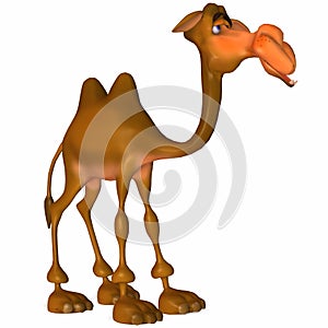 Toon Camel