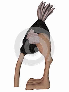 Toon Ostrich