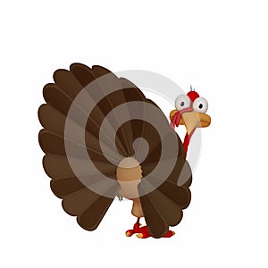 Toon Turkey Looking Back photo