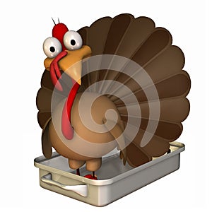 Toon Turkey Roaster