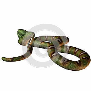 Toonimal Snake