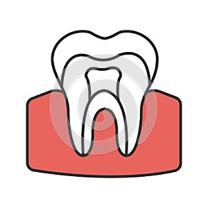 Tooth anatomical structure color icon