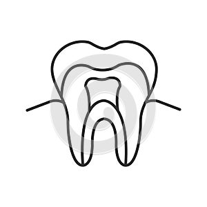 Tooth anatomical structure linear icon