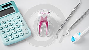 Tooth with calculator and dental tools on light grey background