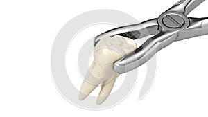 Tooth clamped in medical extraction forceps dental services concept 3d render on white