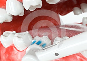 Tooth cleaning external surfaces - 3D Rendering