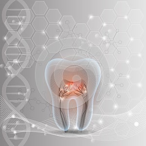 Tooth cross section abstract design