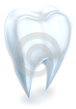 Tooth photo