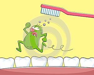 Zubní bakterie 
