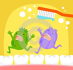 Tooth germs and toothbrush photo