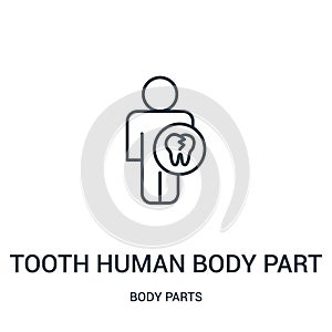 tooth human body part icon vector from body parts collection. Thin line tooth human body part outline icon vector illustration