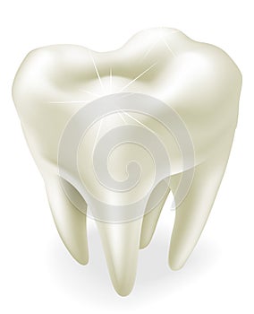 Tooth illustration