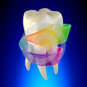 Tooth Molar Healthy isolated on blue background