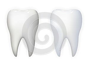 Tooth Poster Stomatology Realistic 3d Icon Template Background Mock Up Design Vector Illustration