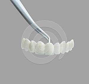 Tooth prosthetic on clutch isolated on gray background