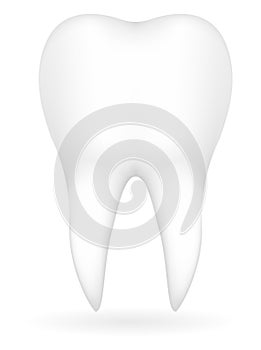 Tooth vector illustration